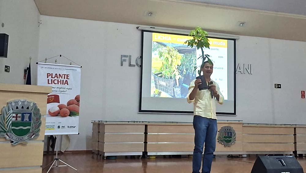 Eventos da CPL Lichia em Itaí, Paranapanema e Tejupá, querem fortalecer a cadeia produtiva da fruta na região - sudoestepaulista